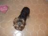 HyperLink